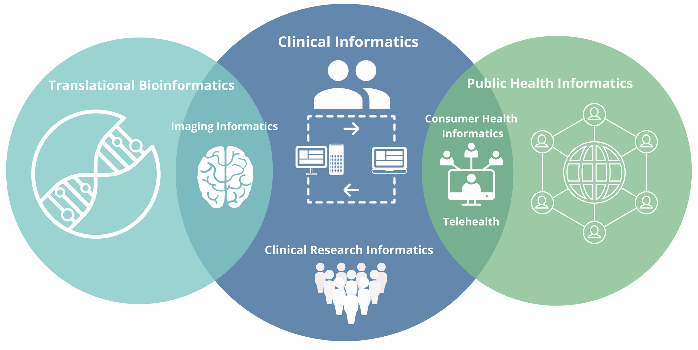 Three circle Venn diagram. Left circle: Translational Bioinformatics with DNA symbol. Middle circle: Clinical Informatics and Clinical Research Informatics with symbols for people and computers. Right circle: Public Health Informatics with network of people symbol. Intersection of Translational Informatics and Clinical Informatics: Imaging Informatics with brain symbol. Intersection of Clinical Informatics and Public Health Informatics: Consumer Health Informatics and Telehealth with people communicating through computer video symbol. Graphic adapted from the Columbia University Department of Biomedical Informatics, courtesy of Katie Brown, PhD, MSN, RN.